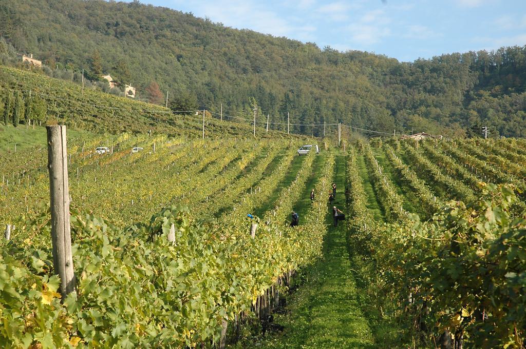 Bauernhof Fattoria Il