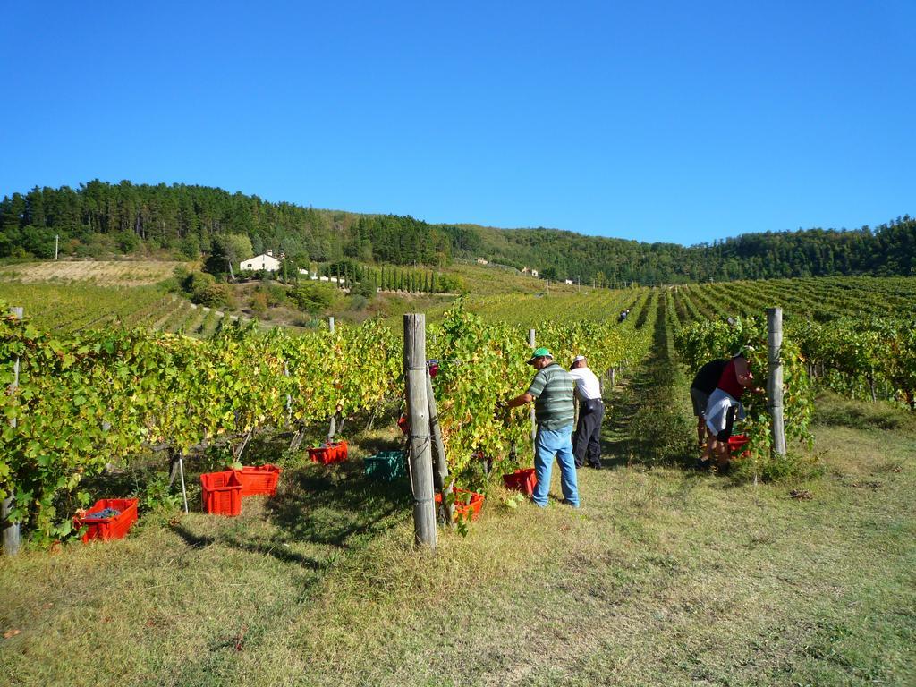 Bauernhof Fattoria Il Dicomano