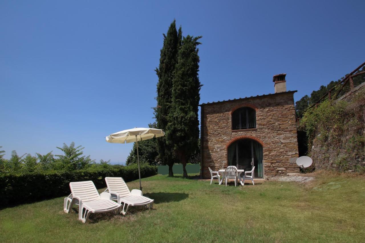 Fattoria Il *