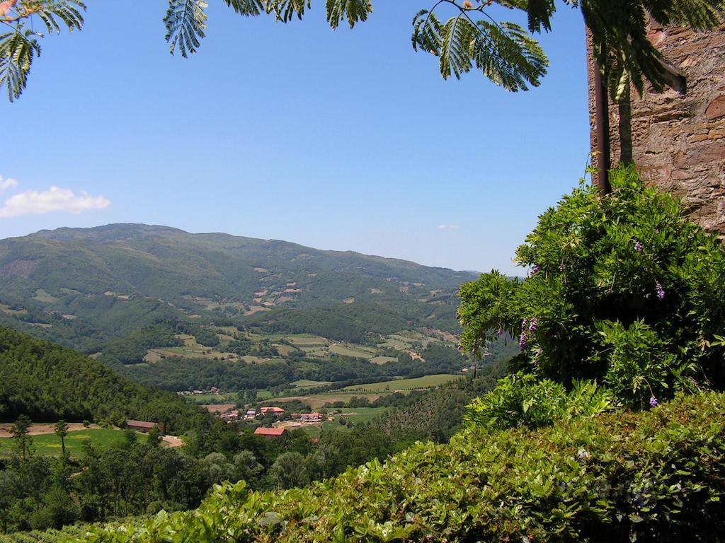 Fattoria Il Dicomano